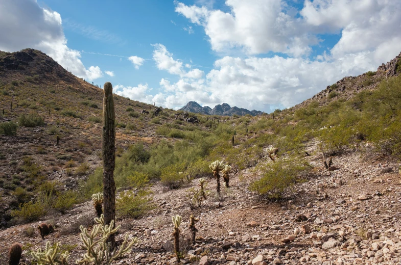 two men walking up a hill next to some desert