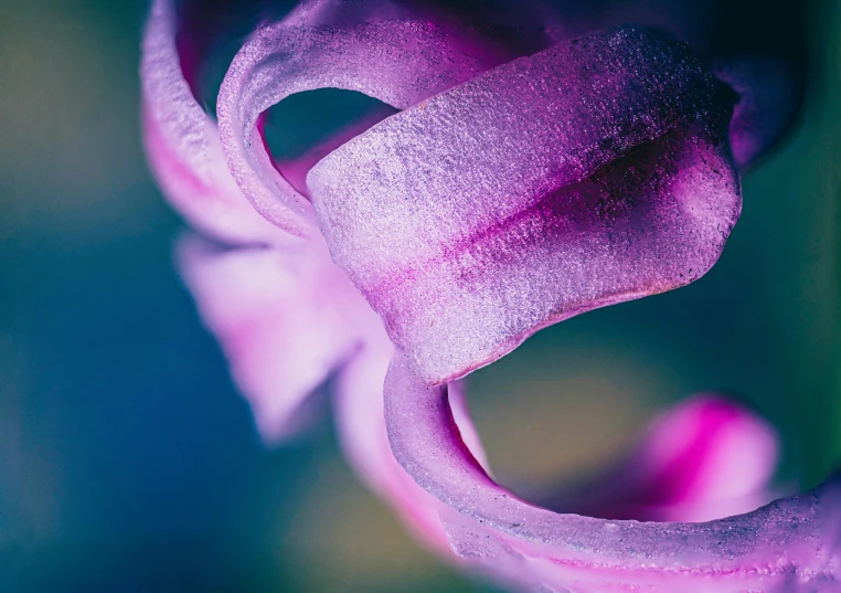 a close up of a flower with a purple center