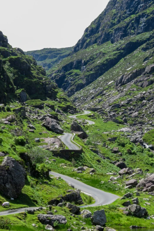 a winding road winding through an alpine hillside