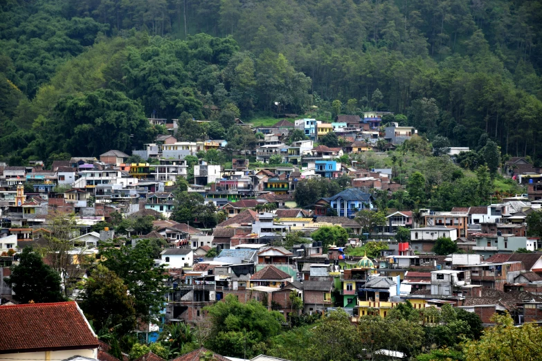 a large number of houses on a hill in the city