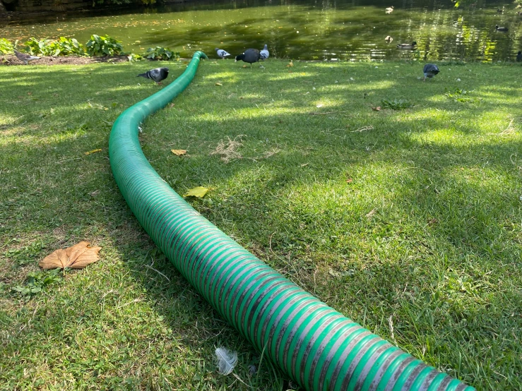 a green pipe laying on the grass