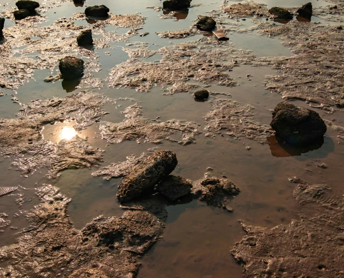 the wet sand is almost covered by low tide