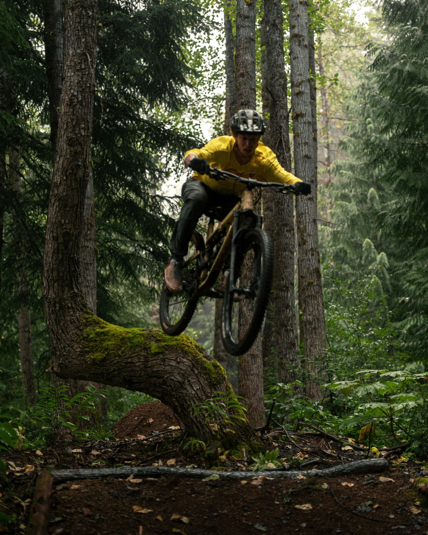 a man jumping on his bike over a fallen tree