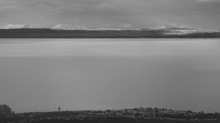 the lone horse has stopped at the edge of the water