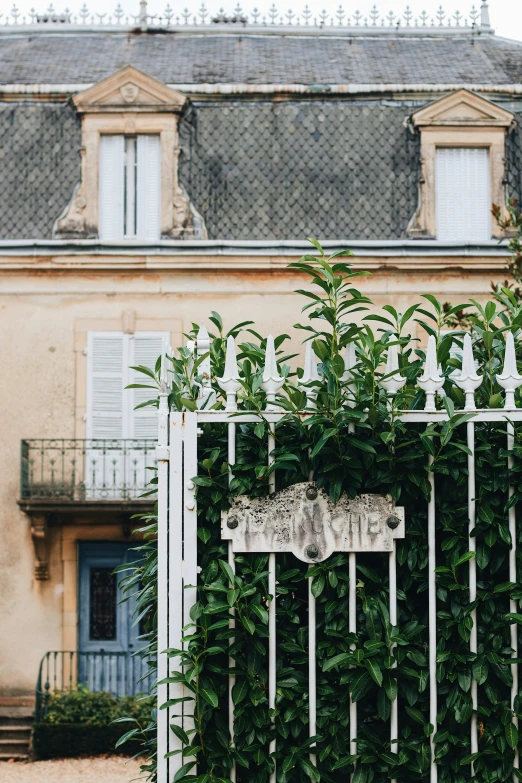 an ivy wall is growing in front of a building