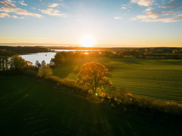 sunset at a park with water and trees