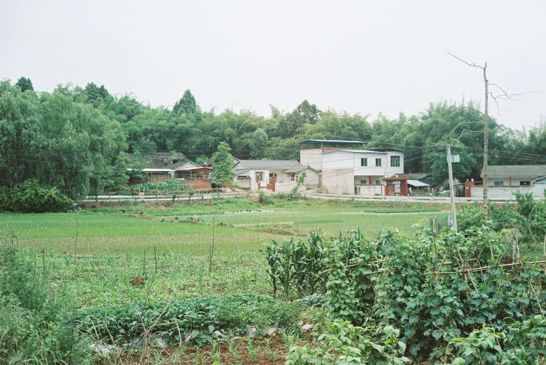 a small house sitting in the middle of a field