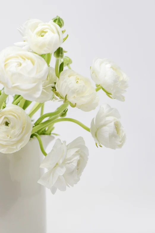 a bouquet of white flowers in a vase