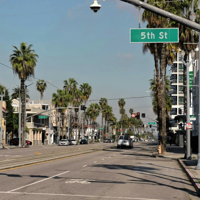 a street sign on the corner of 5th st and palm trees