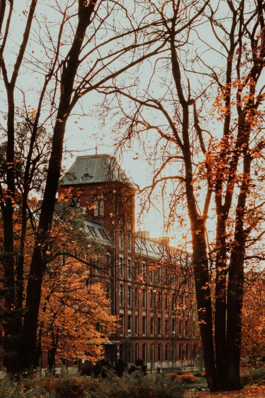 a tall building with many trees in the foreground