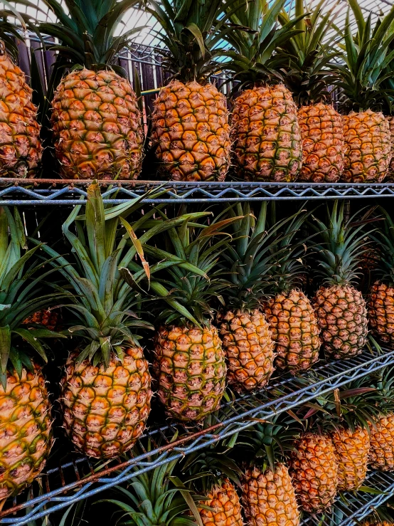 a large display of pineapples in different stages of ripeness