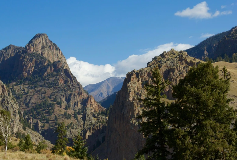 three large mountains with trees in the foreground