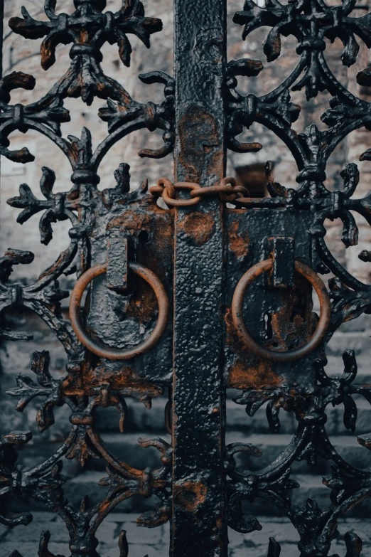 a gate that has a rusty knocknut and some locks