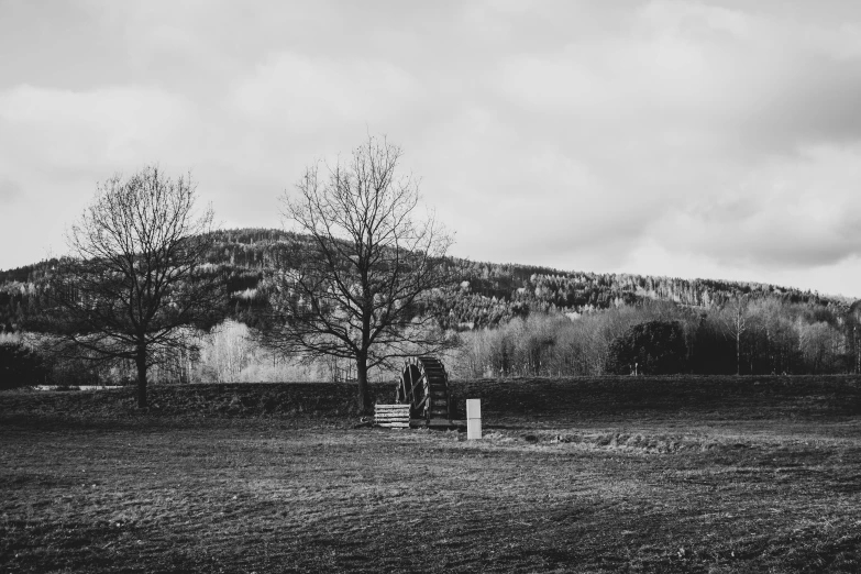 a lone tree stands in the foreground of a rural farm