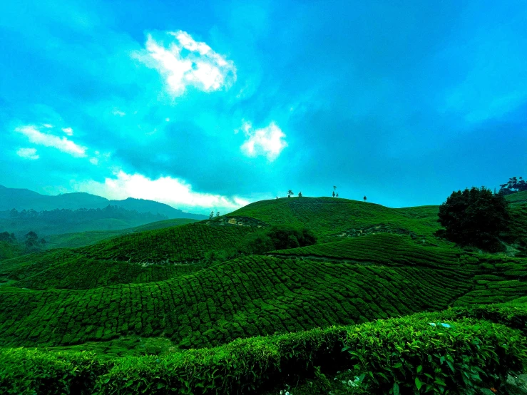 a grassy hill that is on a cloudy day