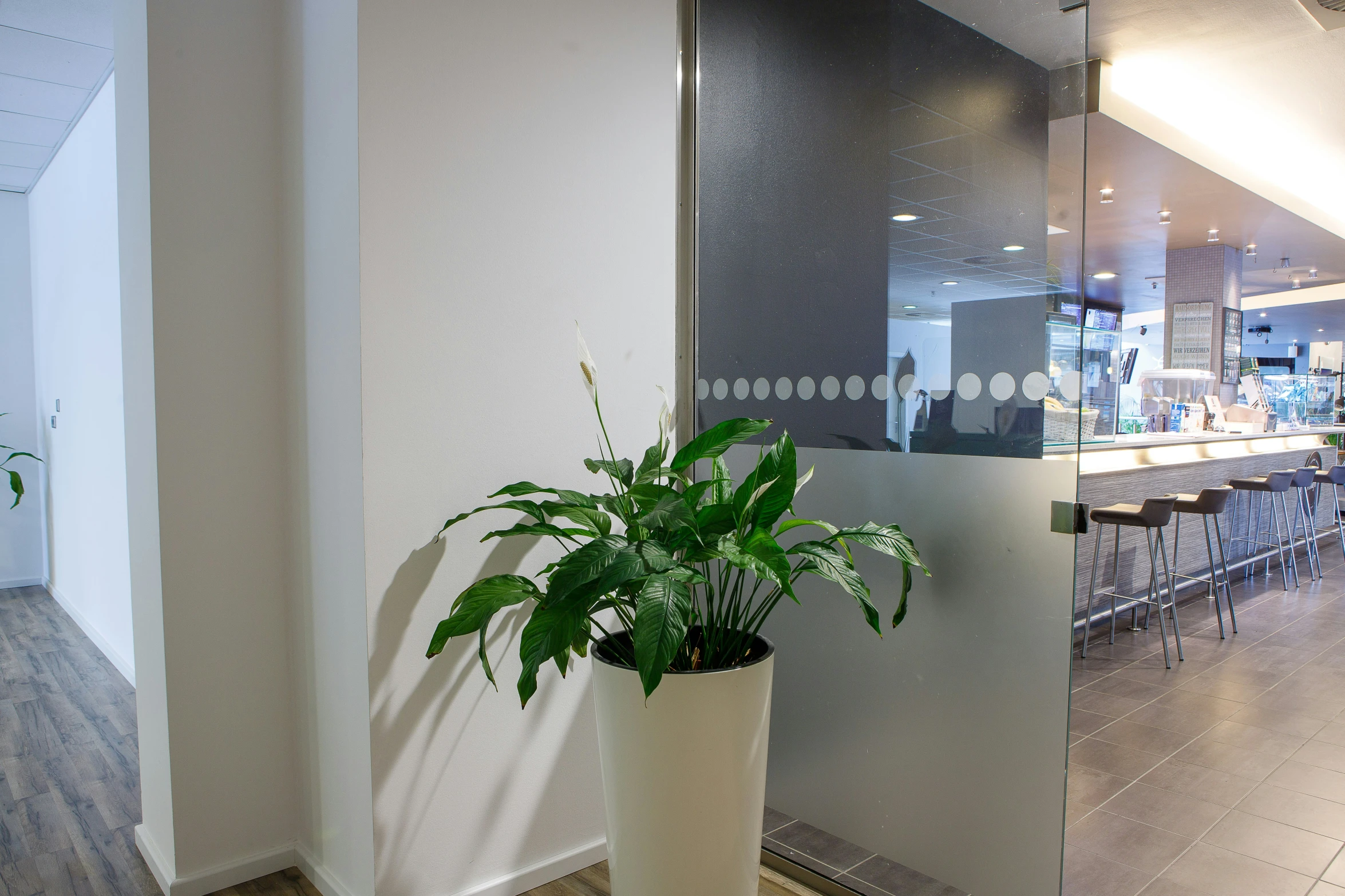 the interior of a restaurant and a potted plant on the floor