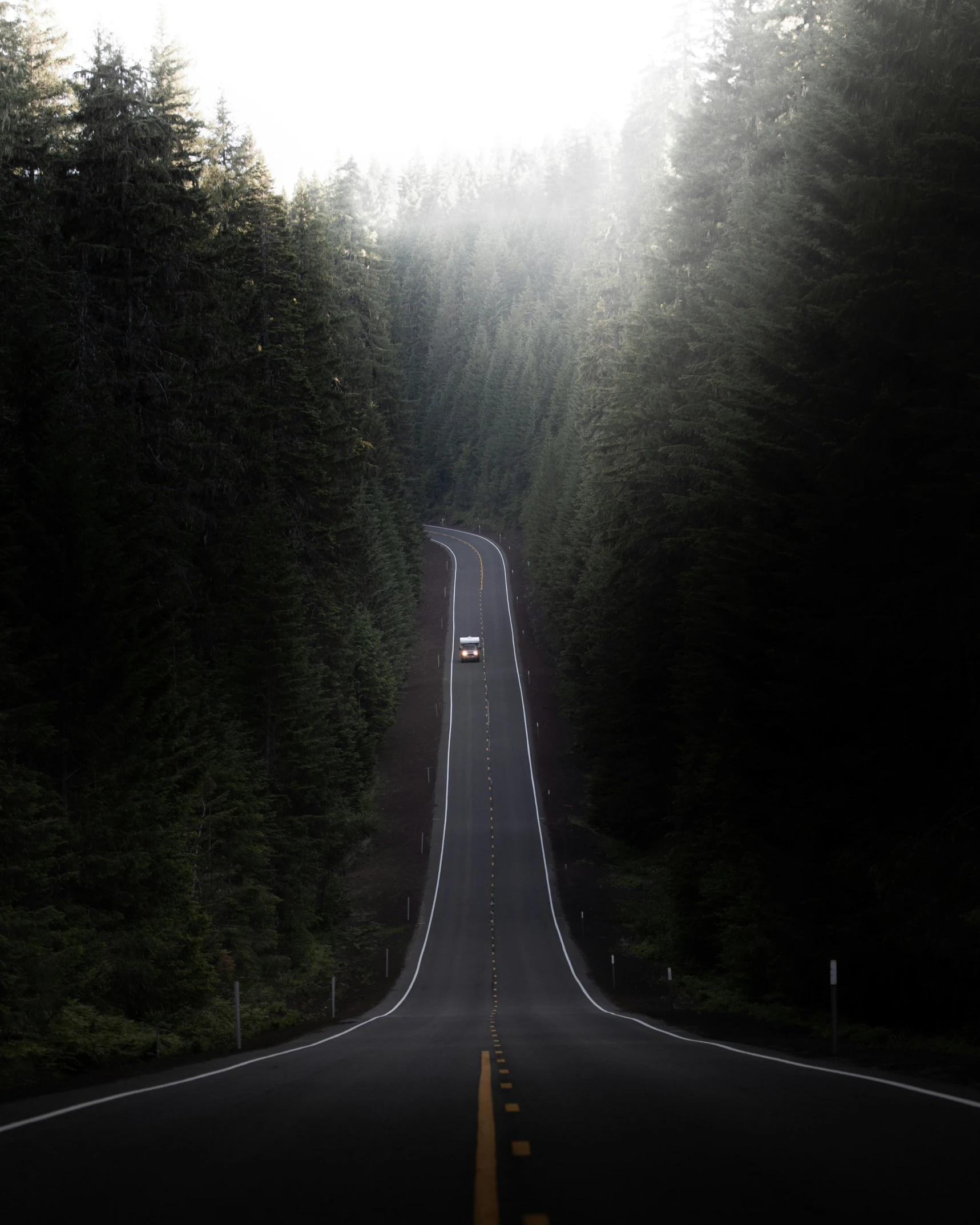 two cars are going down a road surrounded by a forest