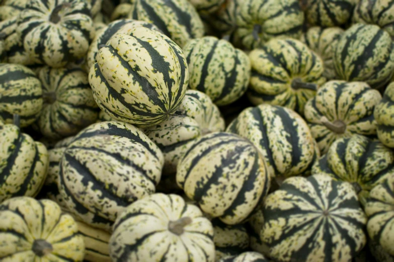 watermelons arranged up on a large pile for sale
