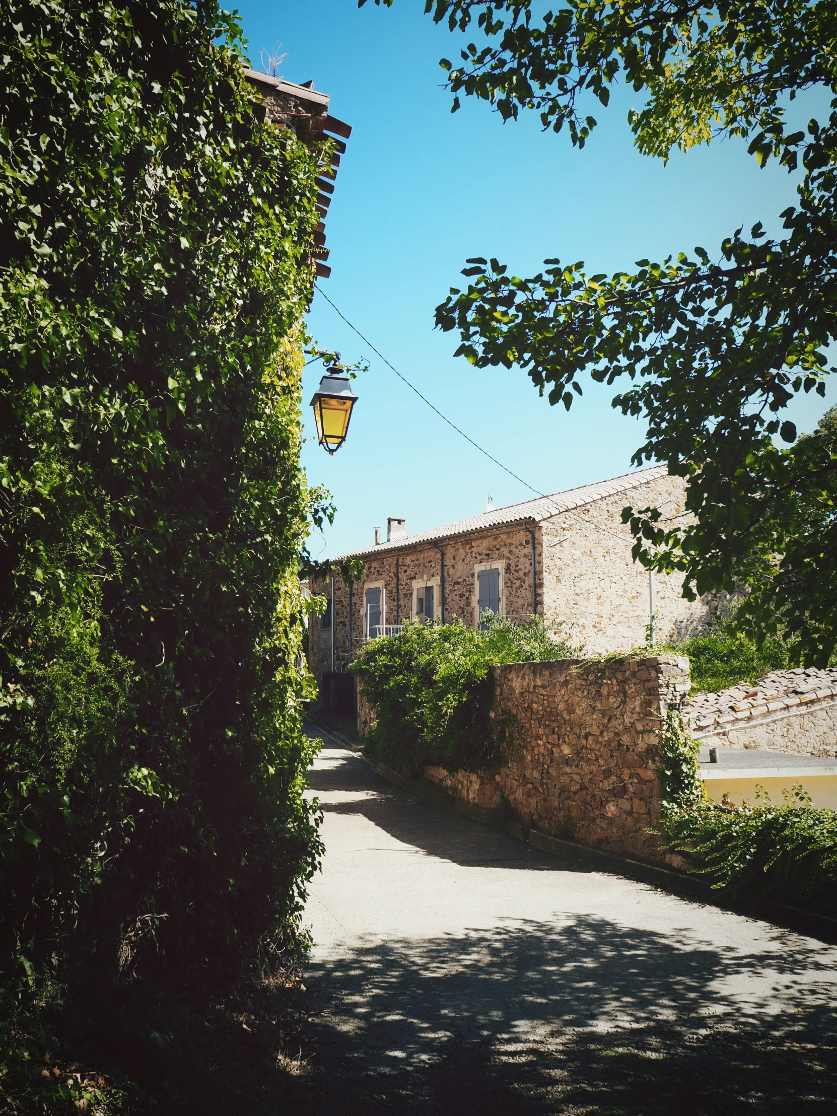 a tree lined road leading to the entrance of a building