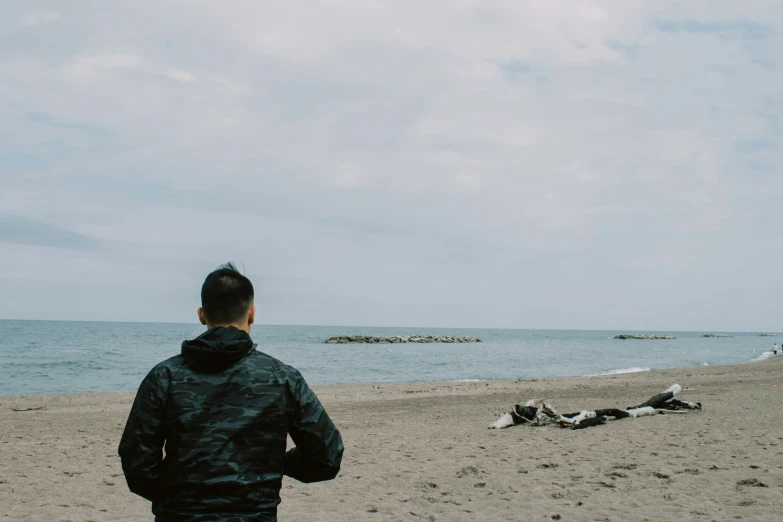 a man watching birds on the beach next to the ocean