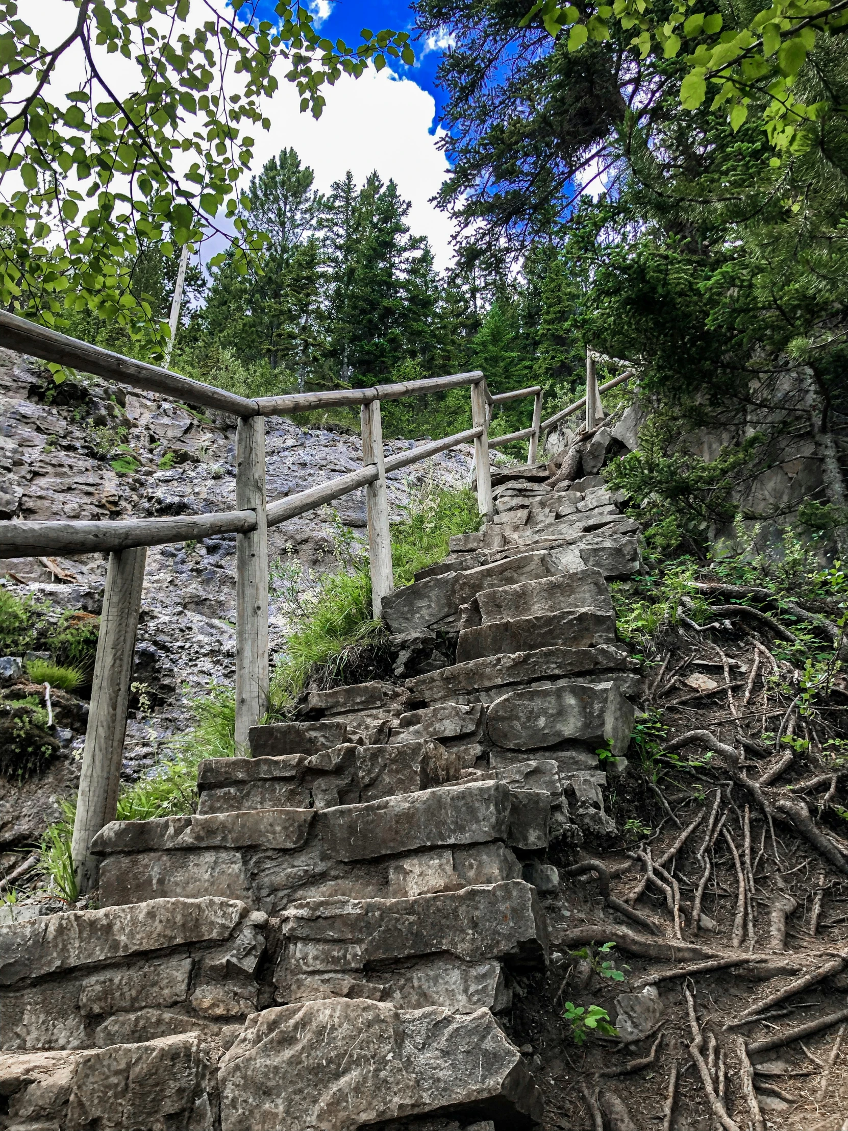 a set of stone steps made of stones with plants growing on it