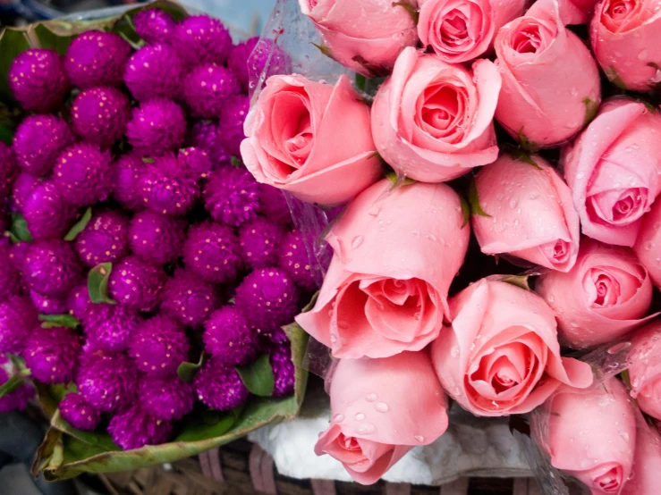 a large bouquet of pink roses and purple mums