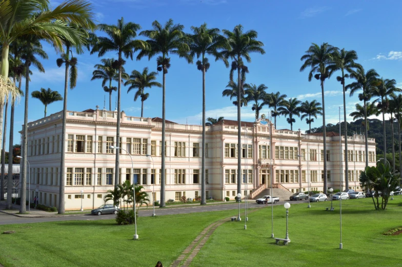 palm trees grow on the lawn of a mansion