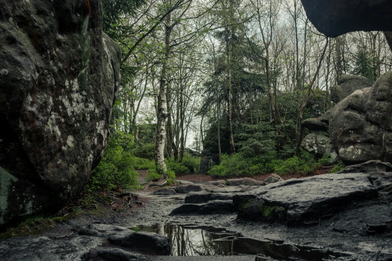 some big rocks some water bushes and trees