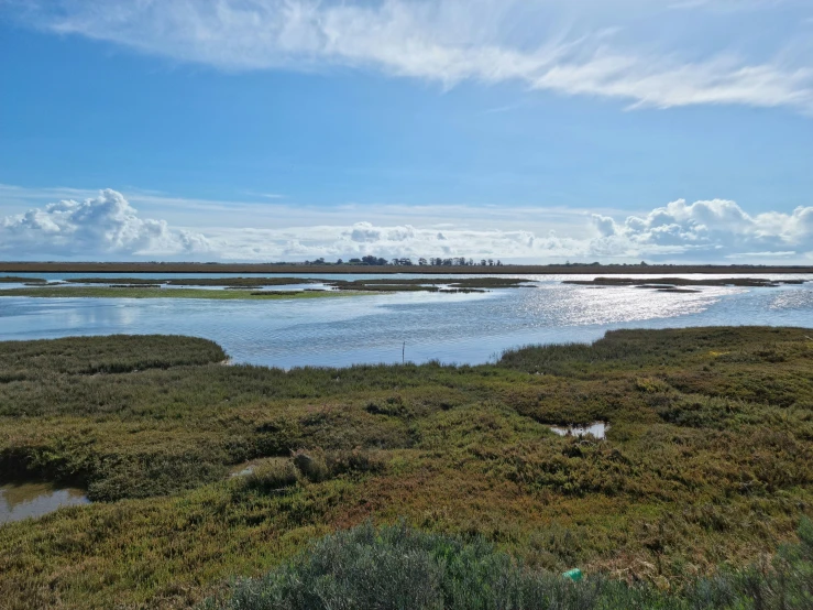 view of grass covered waterway at the mouth of water