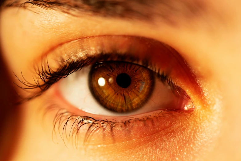 a close up view of an eye with brown, brown eyes