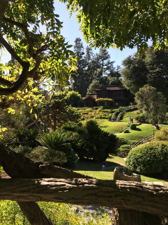 a view of a grassy area next to a park