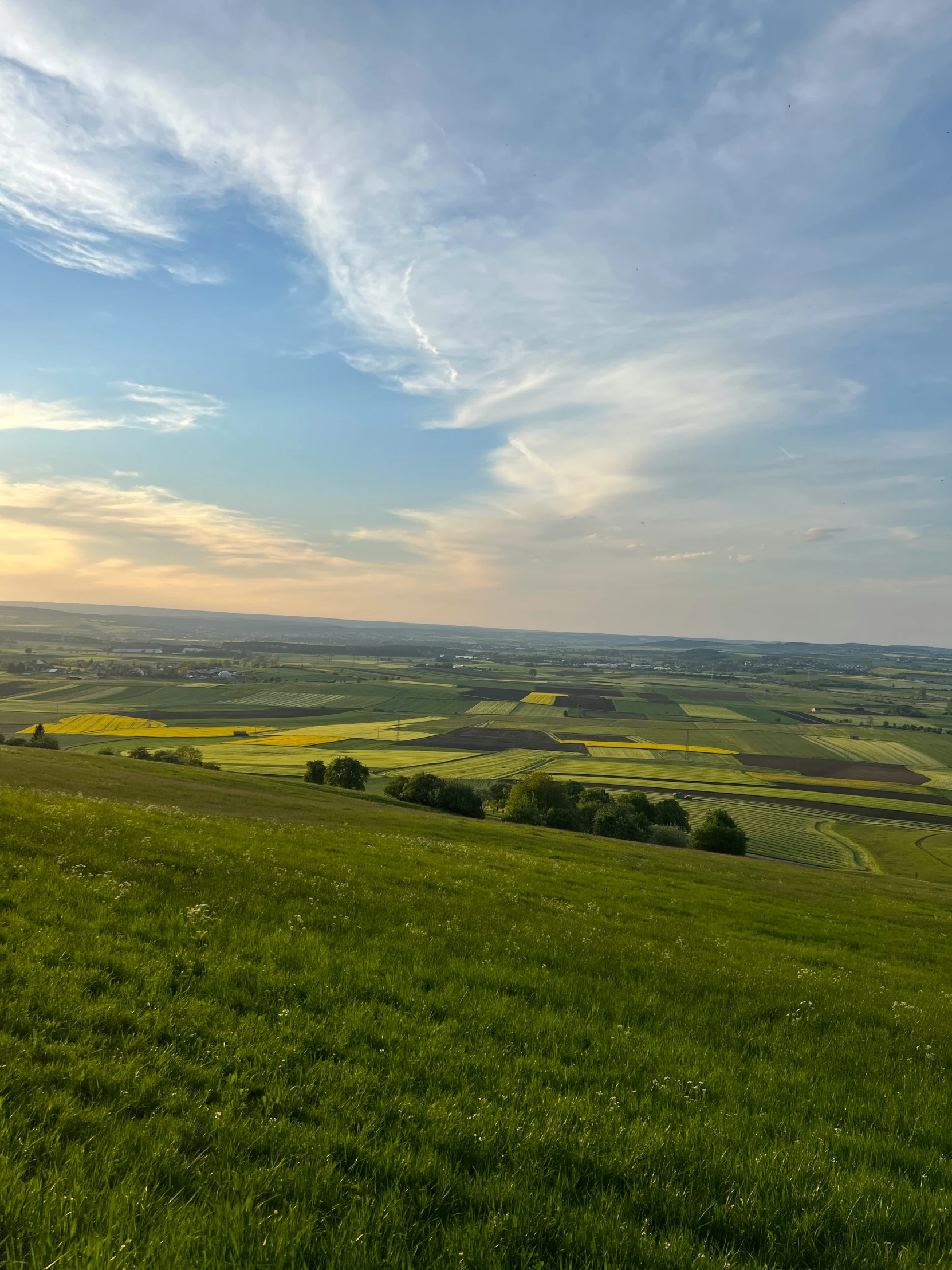 a green field and some blue and white clouds