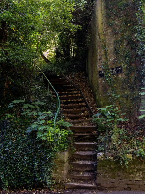 a stone staircase in an overgrown, wooded area