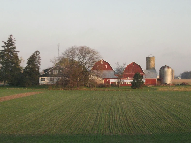 a farm scene with a tractor and silo
