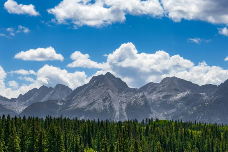 a field with trees next to a large mountain