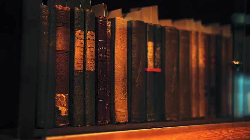 an antique book shelf holds a lot of books