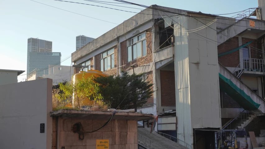 an old building with a plant growing from the roof