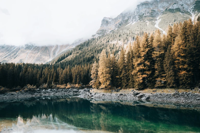 mountains and trees next to a river in the wilderness