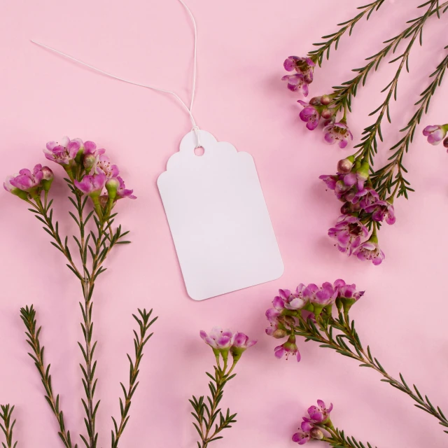 a paper white tag sitting next to pink flowers