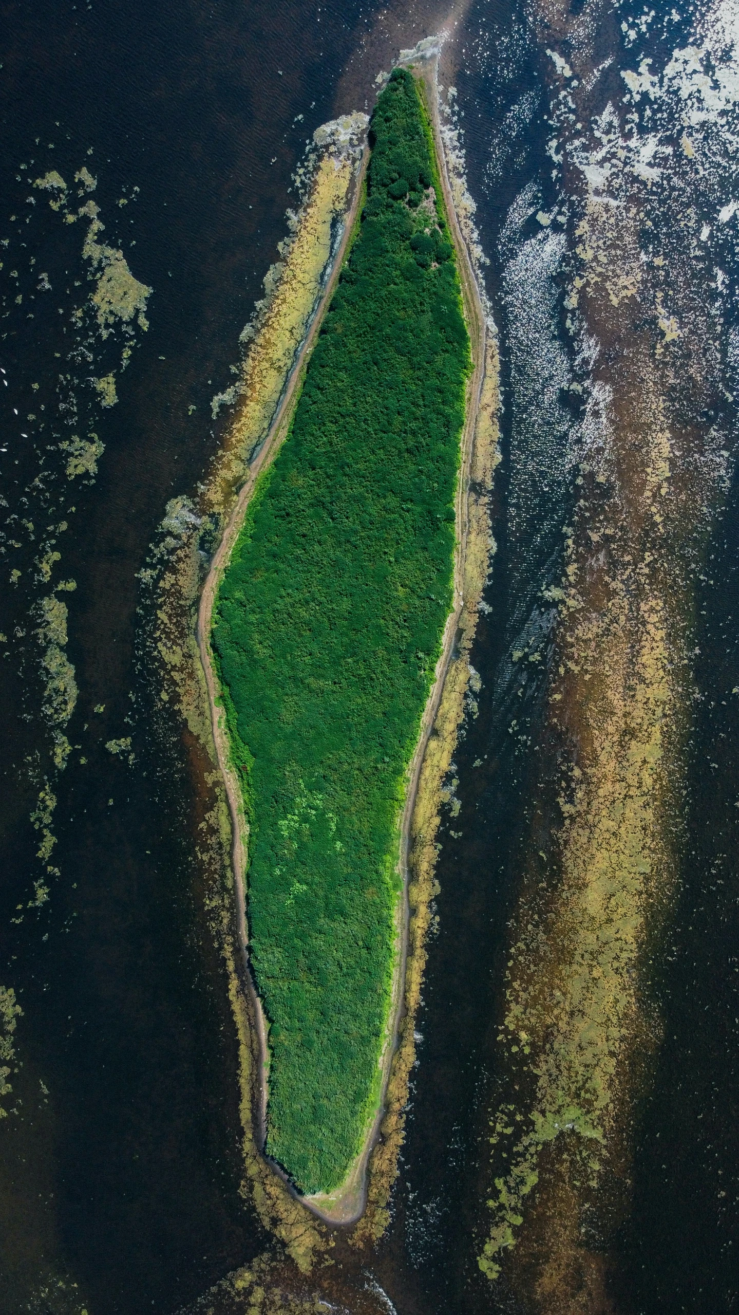 an aerial view of green land in the water