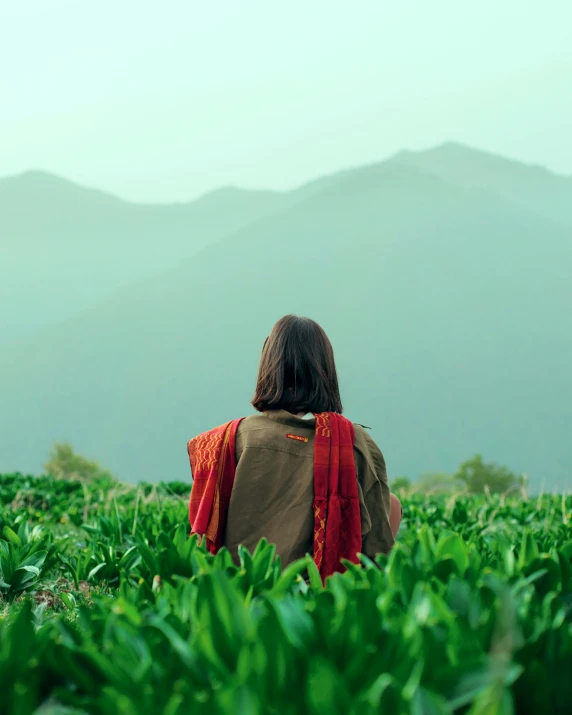 a person walking in a field with mountains in the distance