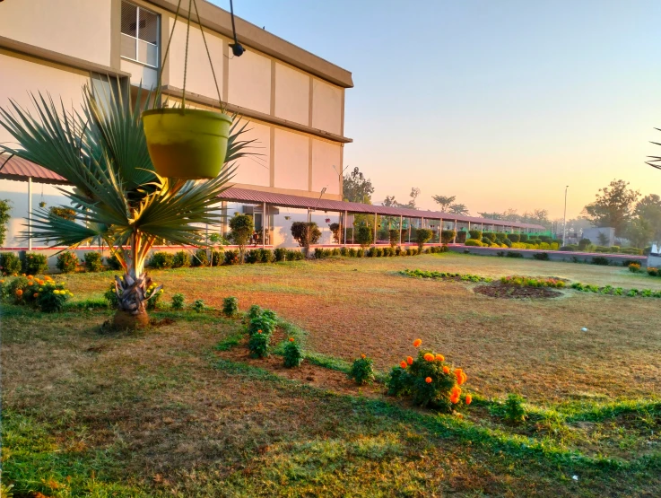 a planter in a yard near a building