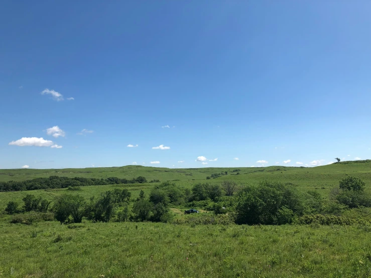 a large green field with trees and grass