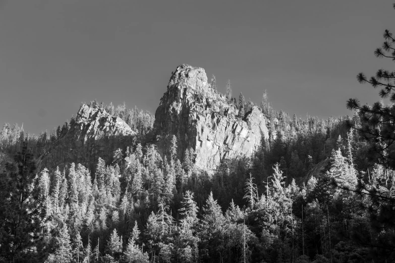 black and white pograph of the peak of cathedral mountain