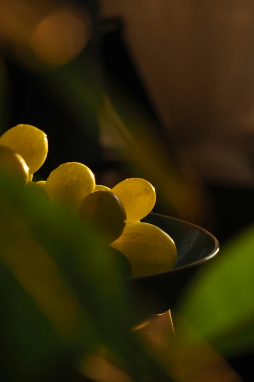 some very pretty yellow fruits in a plate