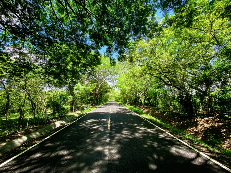 an empty road going through some green trees