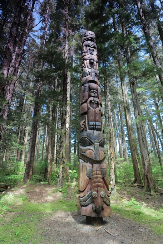 a totem pole on the forest path