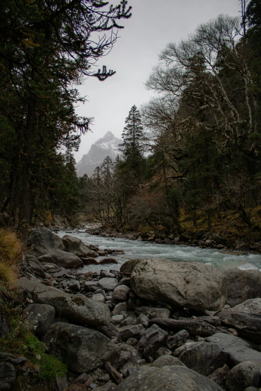 a person sits on rocks near a stream