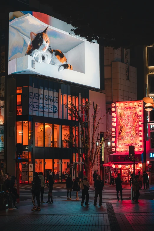 people and a cat sitting on the billboard