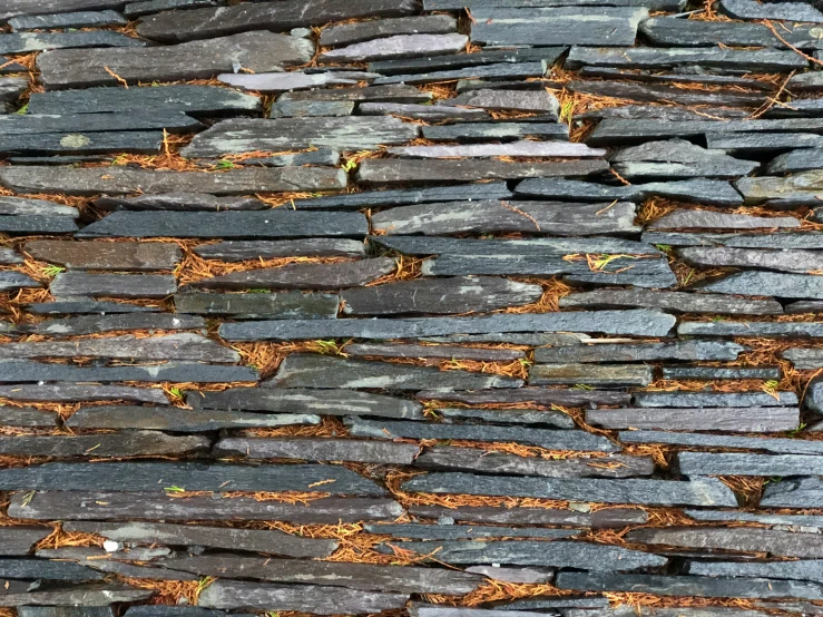 an old stone wall covered with dirt and trees